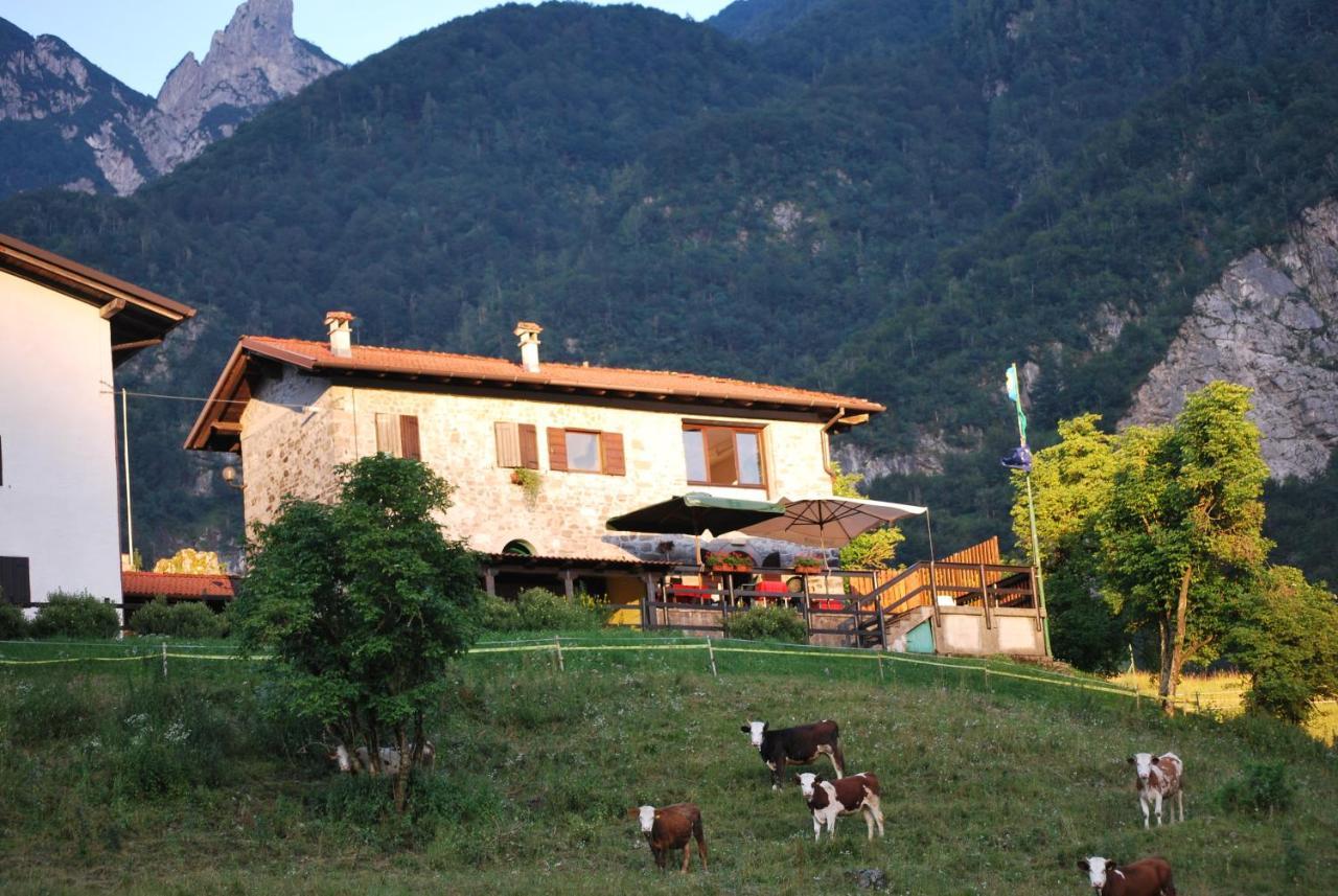 Rifugio Malga Grasia Caprizi Exterior photo